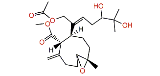 Umbellacin H